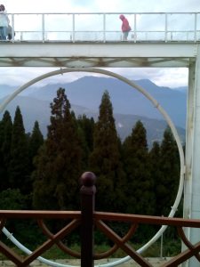 Gallery Thumbnail 2