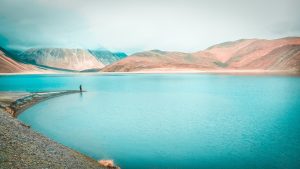 Gallery Thumbnail 4