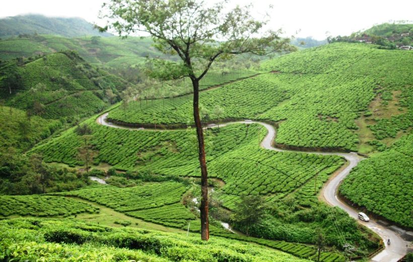 Unparalleled Kerala