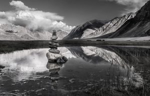 Gallery Thumbnail 7